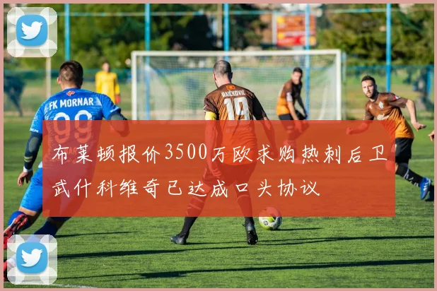 布莱顿报价3500万欧求购热刺后卫武什科维奇已达成口头协议